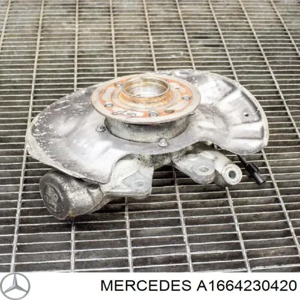 Защита тормозного диска заднего правая A1664230420 Mercedes