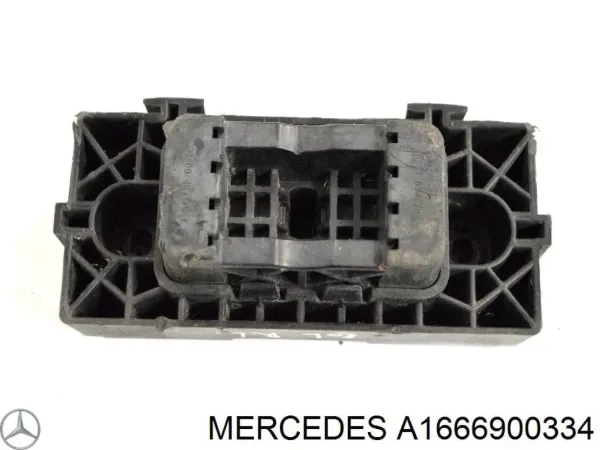  1666900334 Mercedes