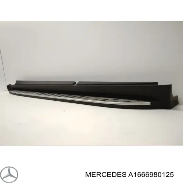  1666980125 Mercedes