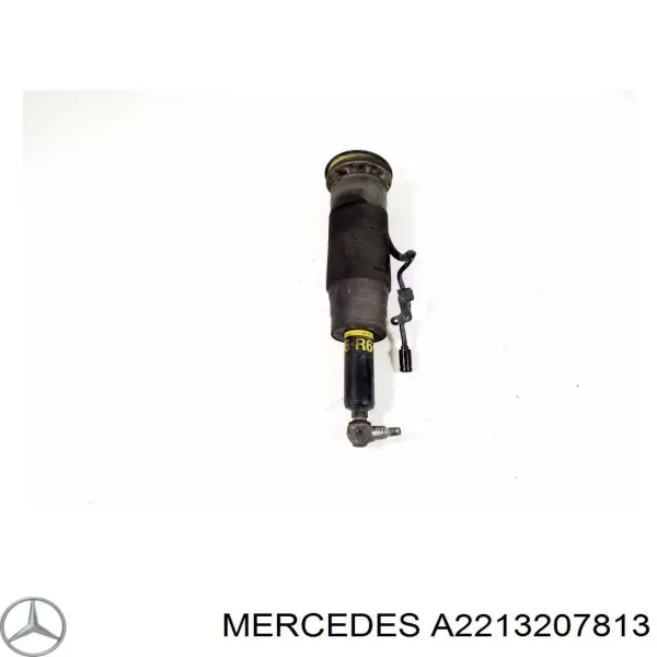 2213206213 Mercedes Амортизатор передней подвески правый