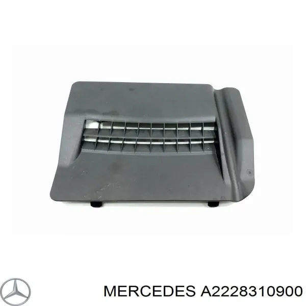  A2228310900 Mercedes