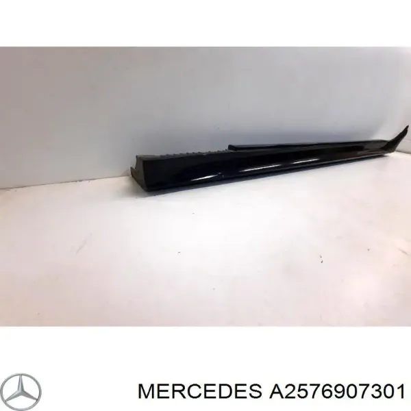  A2576907301 Mercedes