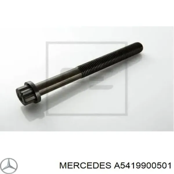 Болт ГБЦ A5419900501 Mercedes