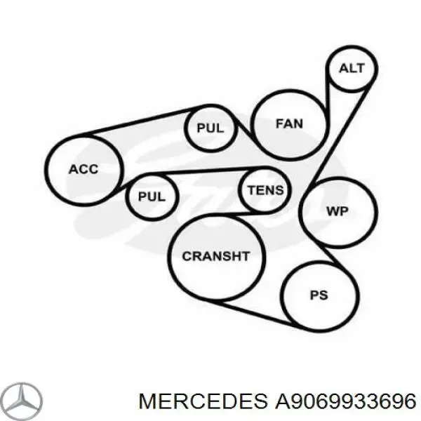 Ремень генератора A9069933696 Mercedes