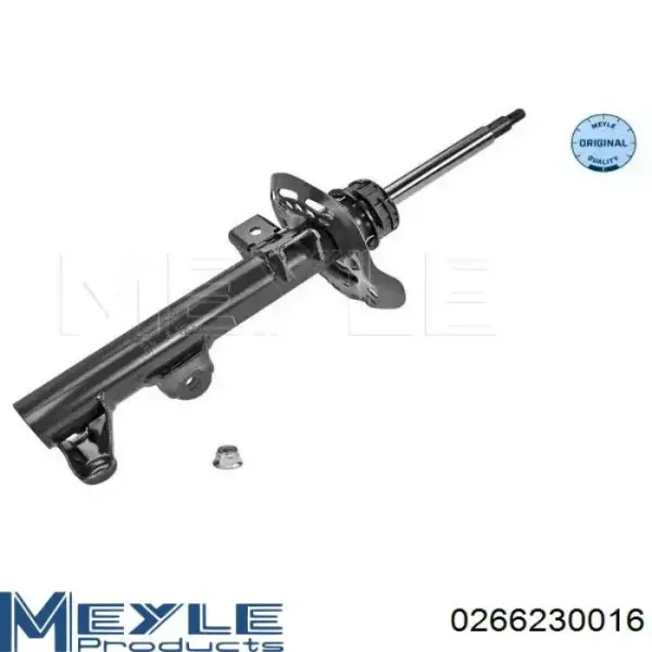 Амортизатор передний RS317560 Raiso