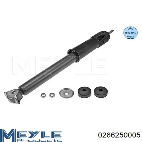 Амортизатор передний RS101705 Raiso