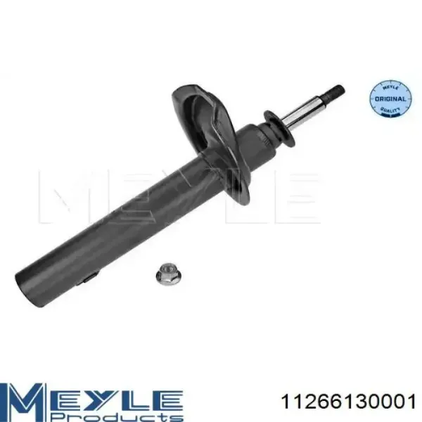 Амортизатор передний RS110897 Raiso