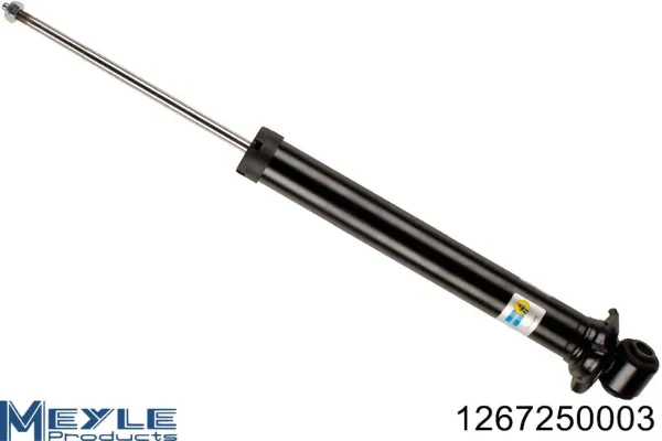 Амортизатор задний RS170269 Raiso