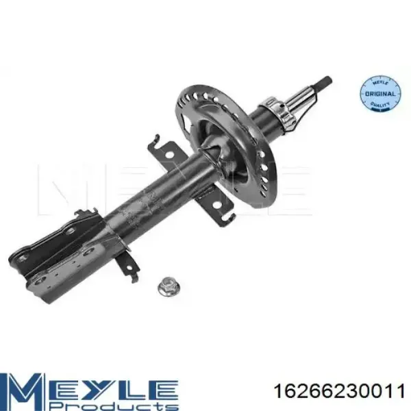 Амортизатор передний RS315298 Raiso