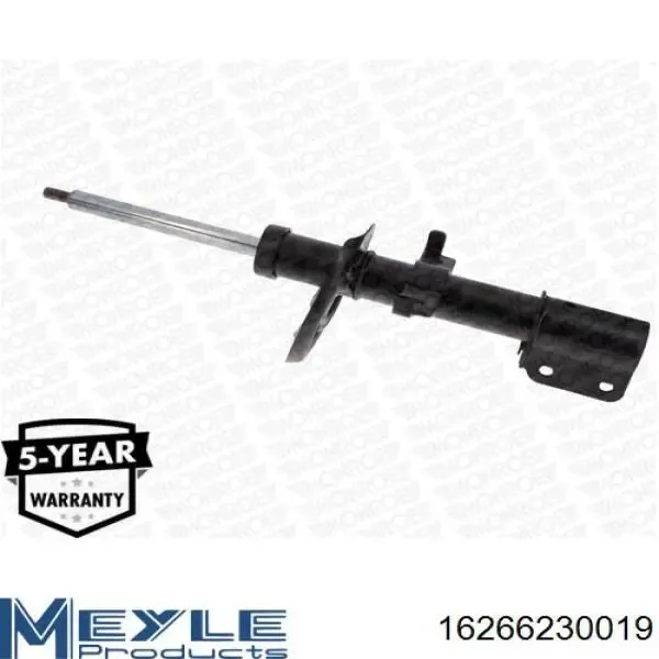 Амортизатор передний RS317423 Raiso