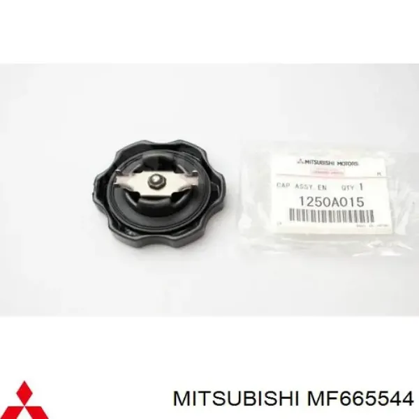 Заглушка двигателя на Mitsubishi L 300  P0W, P1W, P2W