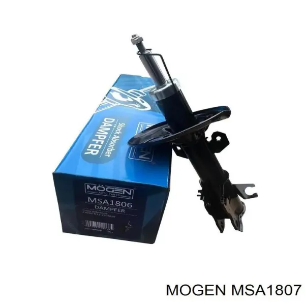 Амортизатор задний 300710AC Fitshi