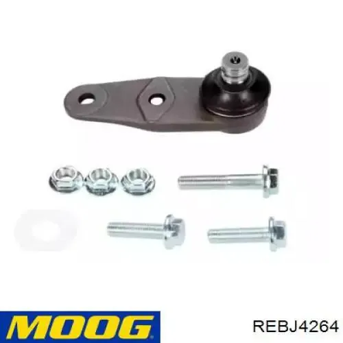 Купить REBJ4264 Moog Нижняя шаровая опора