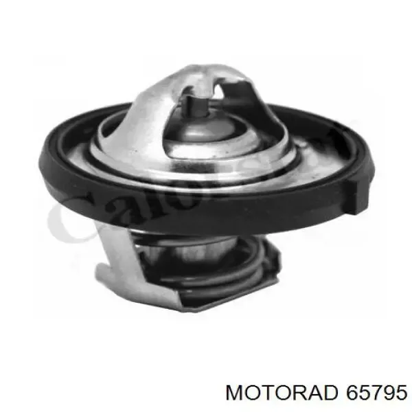  65795 Motorad