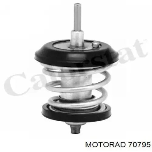 Термостат 70795 Motorad