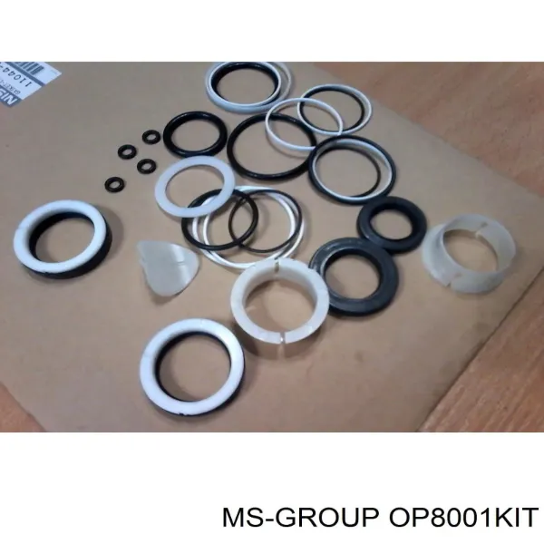  OP8001KIT MSG
