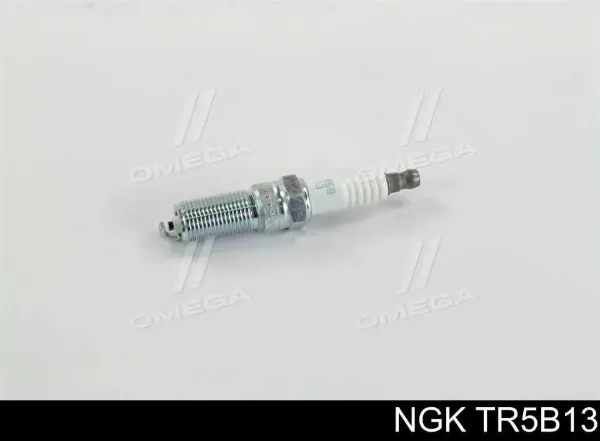 Свечи зажигания TR5B13 NGK