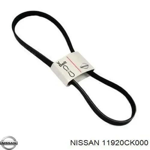  11920CK000 Nissan/Infiniti