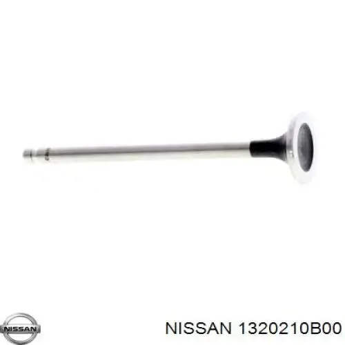 Выпускной клапан NB810 Rocky