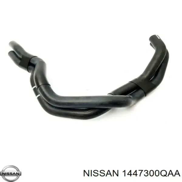  1447300QAA Renault (RVI)