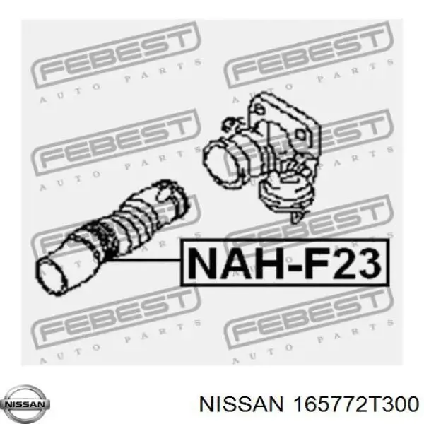  165772T300 Nissan/Infiniti