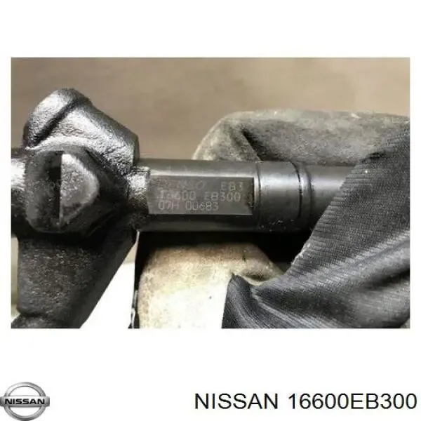 Форсунка инжектора на Nissan Pathfinder  R51M