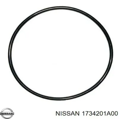 Прокладка датчика уровня топлива /топливного насоса (топливный бак) NISSAN 1734201A00