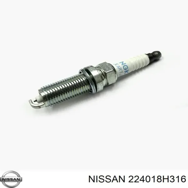 nissan-224018h316-