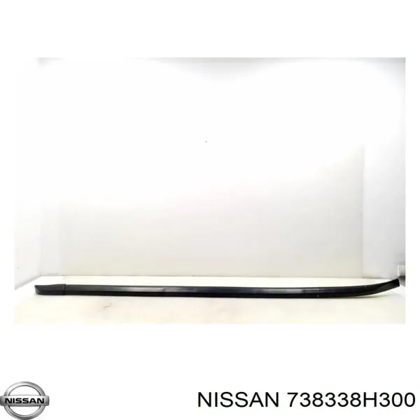  738338H300 Nissan/Infiniti