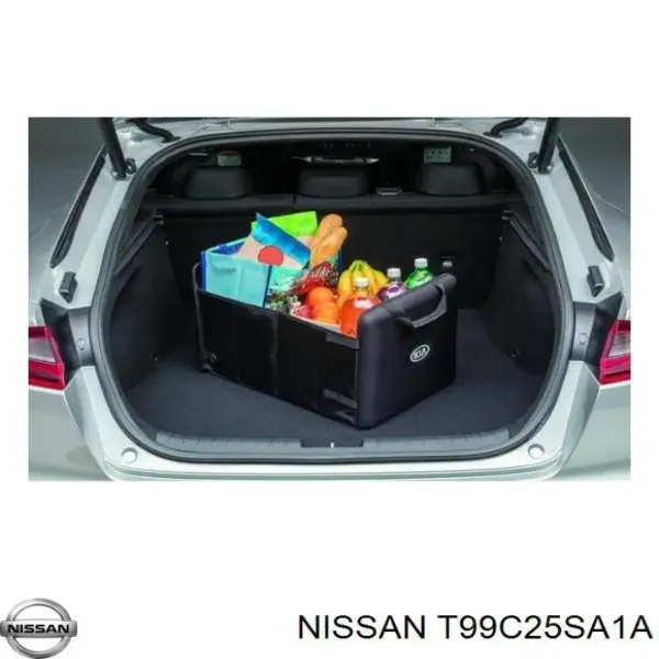  T99C25SA1A Nissan/Infiniti