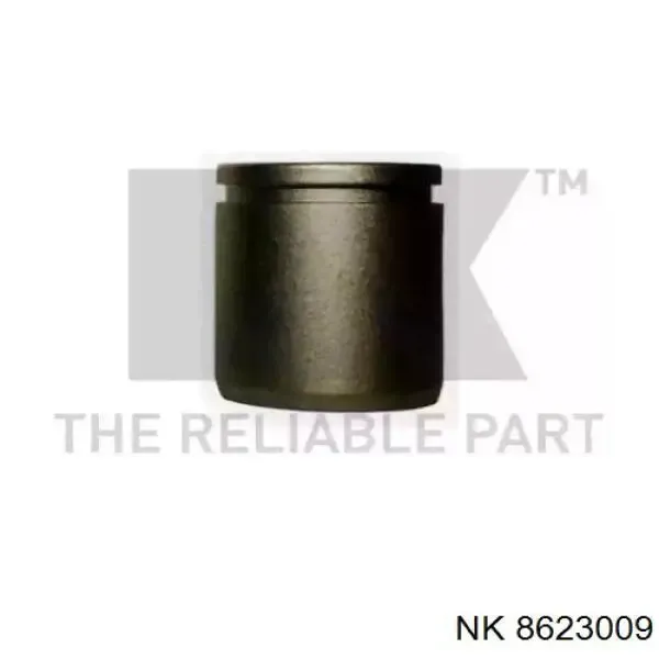 Поршень Renault 21