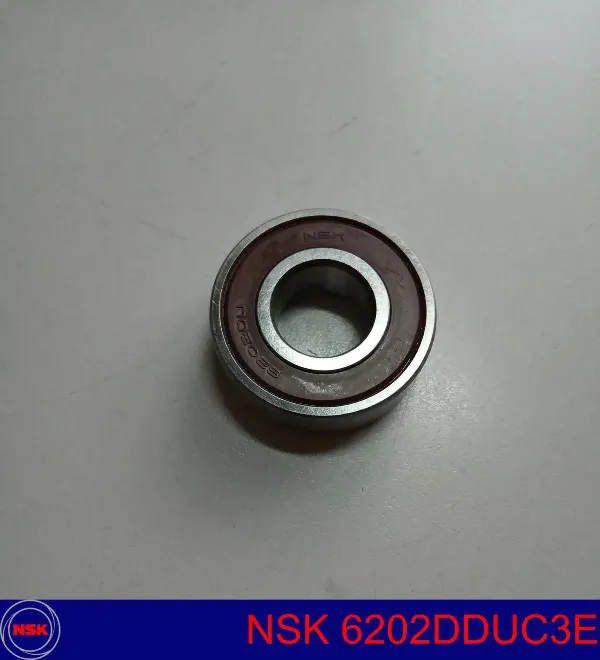 6202DDUC3ENSK-Подшипникгенератора