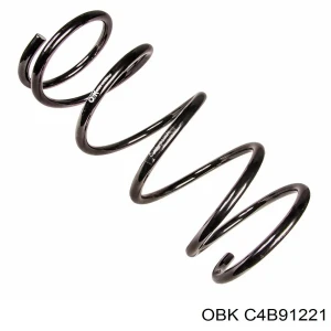 Передняя пружина C4B91221 OBK