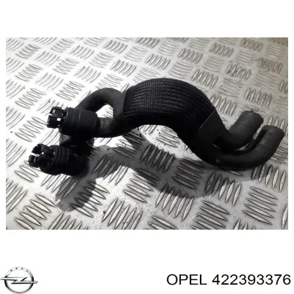  422393376 Opel