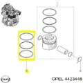 Комплект поршневых колец на 1 цилиндр, стандарт Renault Master FV