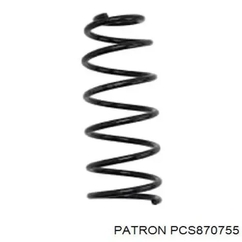 Задняя пружина SR208TP Raiso