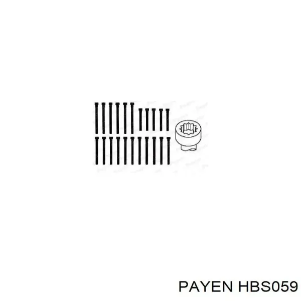 Болт ГБЦ HBS059 Payen