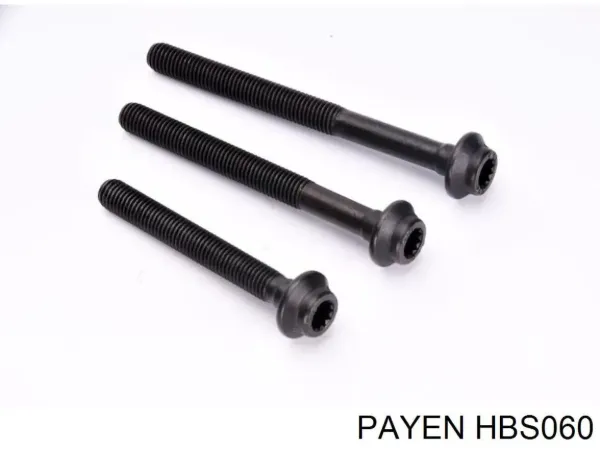 Болт ГБЦ HBS060 Payen