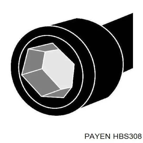 Болт ГБЦ HBS308 Payen