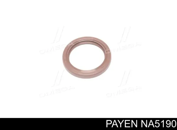 Сальник коленвала NA5190 Payen