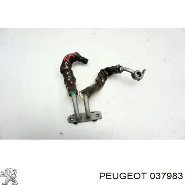 Выпускной клапан 037983 Peugeot/Citroen