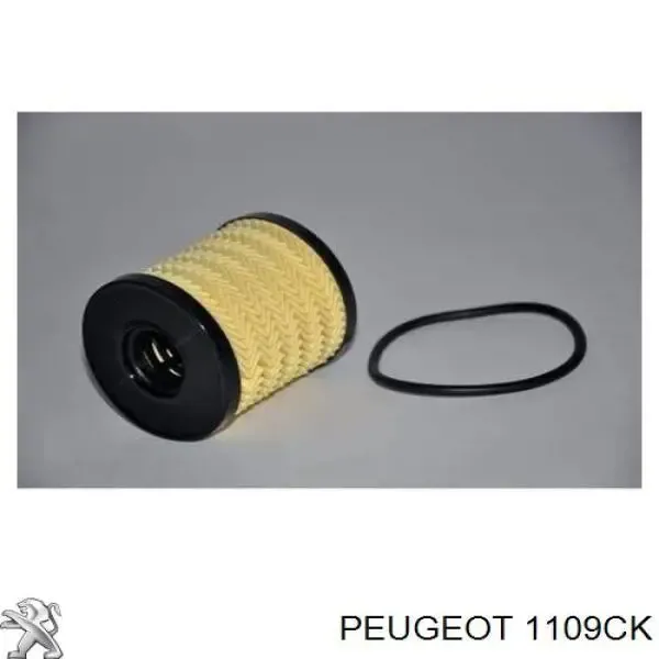 Купить 1109CK Peugeot/Citroen Фильтр центробежный очистки масла