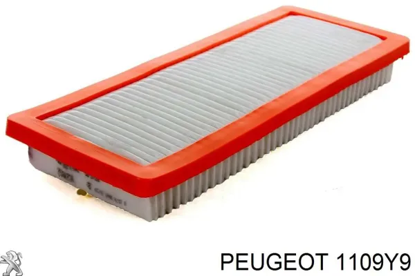 Фильтр масла Peugeot/Citroen 1109Y9