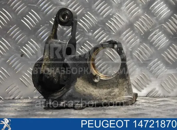  14721870 Peugeot/Citroen