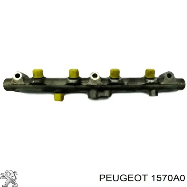Распределитель топлива (рампа) Peugeot/Citroen 1570A0