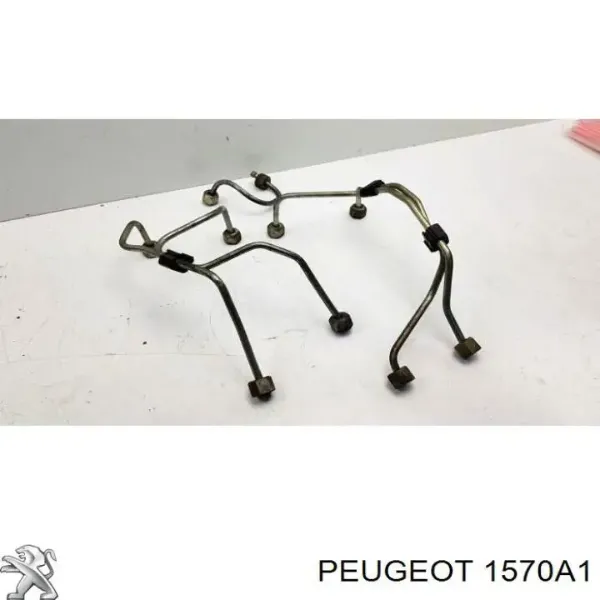  1570A1 Peugeot/Citroen