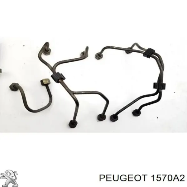  1570A2 Peugeot/Citroen