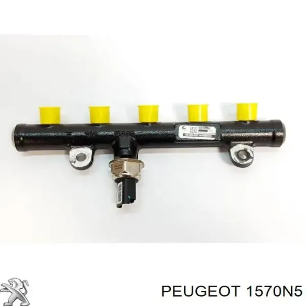 Распределитель топлива (рампа) Peugeot/Citroen 1570N5