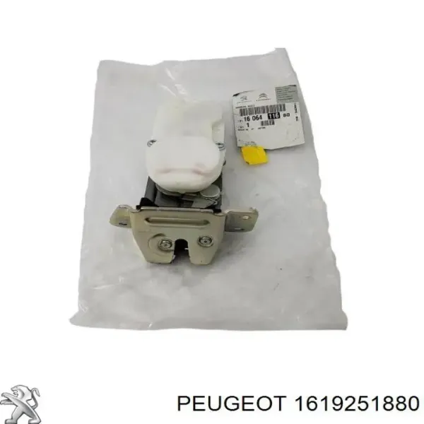  1619251880 Peugeot/Citroen