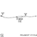 Центральная часть глушителя Peugeot Partner 5F
